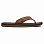 Quiksilver COASTALOASISDEL M SNDL BROWN/BROWN/BROWN Quiksilver COASTALOASISDEL M SNDL BROWN/BROWN/BROWN