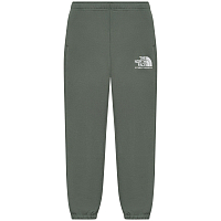The North Face M Logo Plus Pant AGAVE GREEN (V38)