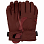 Pow W'S Stealth GTX Glove +warm AUBURN