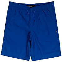 Element Vacation Short BOY IMPERIAL BLUE