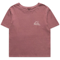 Quiksilver Standardsstee W Tees ELDERBERRY