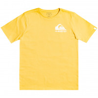 Quiksilver HOW ARE YOU FEELING B TEES RATTAN