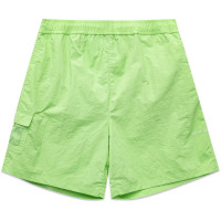 Pop Trading Company Painter Short JADE LIME