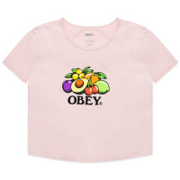 OBEY Bowl OF Fruit PINK CLAY