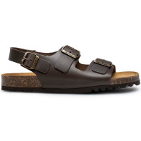Scholl Henri F30081 COFFEE