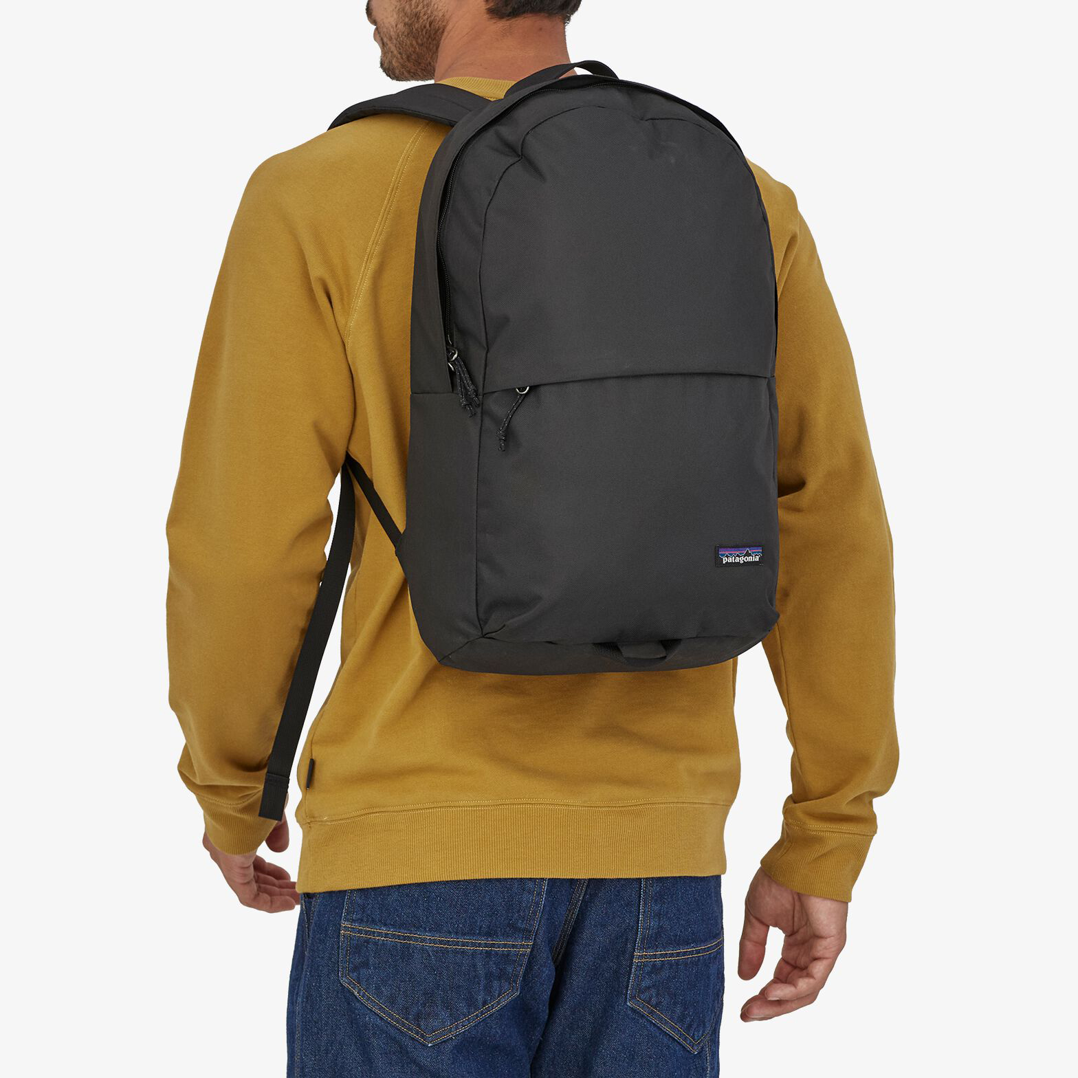 patagonia arbor backpack